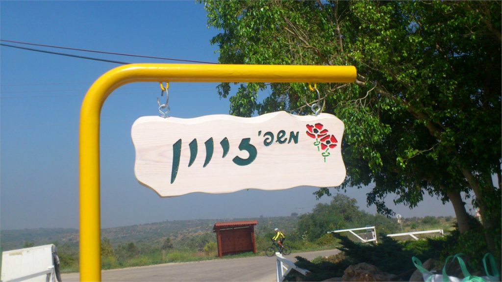 שלט לדלת כניסה עבודת יד ושלטי כניסה לבית מעוצבים מעץ מלא, בהתאמה אישית שמעניקה יוקרה